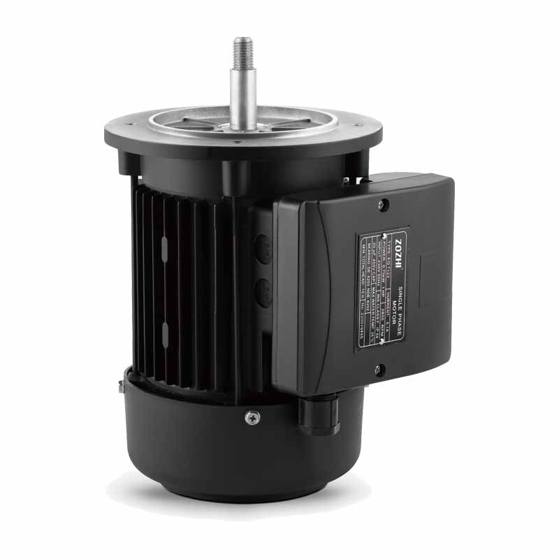 High-Efficiency asynchronous motor for pool pump MYT Series - 图片 2