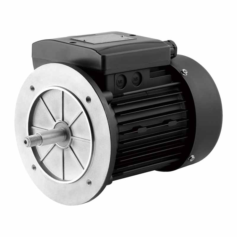 pool pump motor