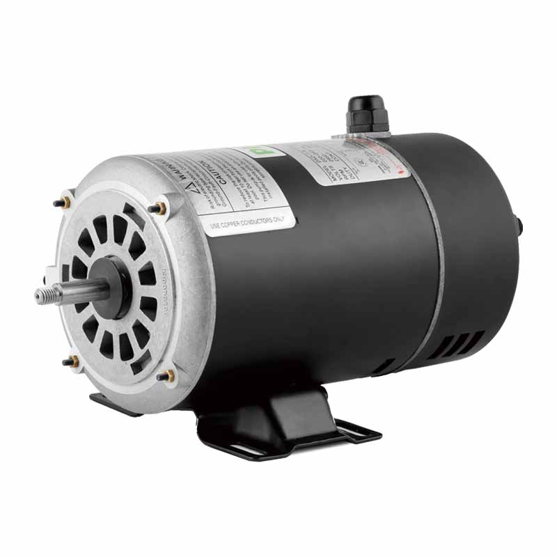 High-Efficiency asynchronous motor for pool pump MYT Series - 图片 3