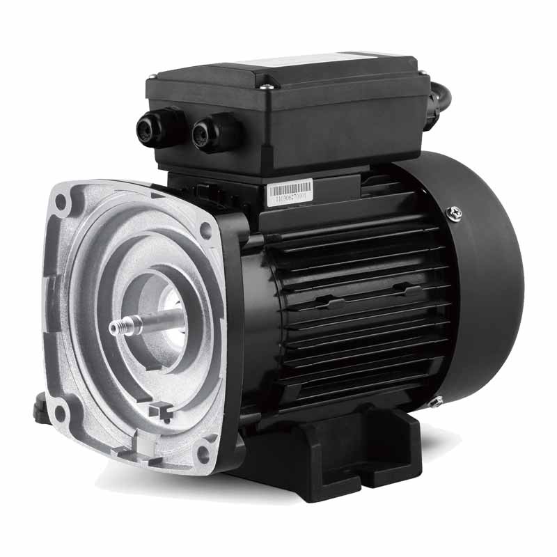 High-Efficiency asynchronous motor for pool pump MYT Series - 图片 4