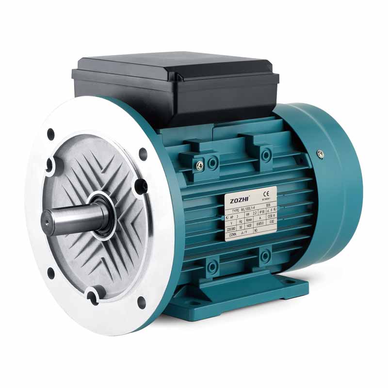 Single phase capacitor-start&Run induction motors ML Series - 图片 2