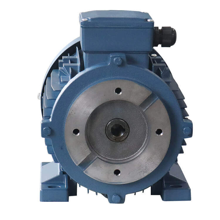 Hollow Shaft Electric Motor For Hydraulic Pumps OPSH Series - 图片 3